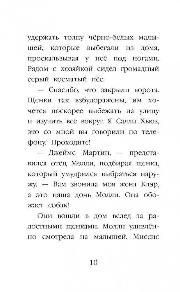 Щенок Макс, или Выбери меня! фото книги 10