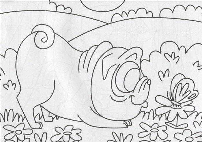 Милые щенки фото книги 3