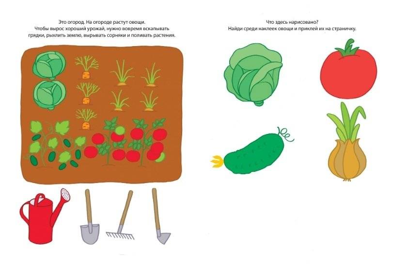 Знакомимся с природой 2-3 года фото книги 3