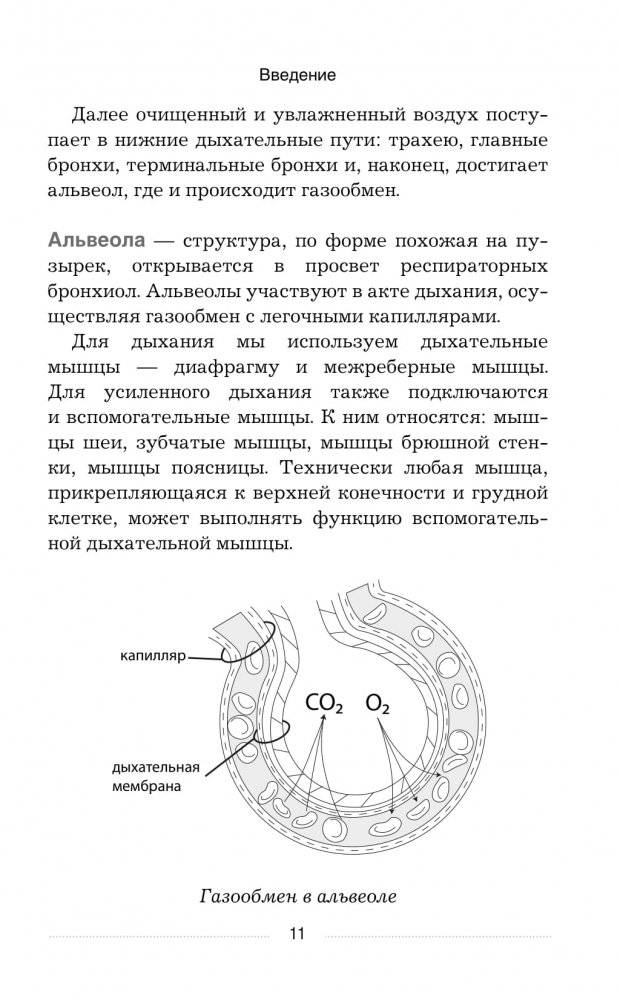 Дыхательные гимнастики при COVID-19. Рекомендации для пациентов. Восстановление легких до, во время и после коронавируса фото книги 10