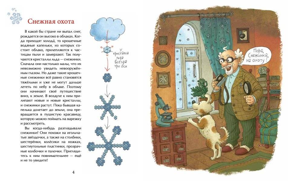 Книжка про снежинки фото книги 4