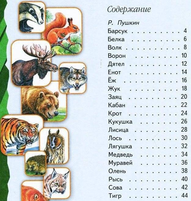 Про животных. Маленькая энциклопедия плюс стихи, загадки, пословицы и поговорки фото книги 2