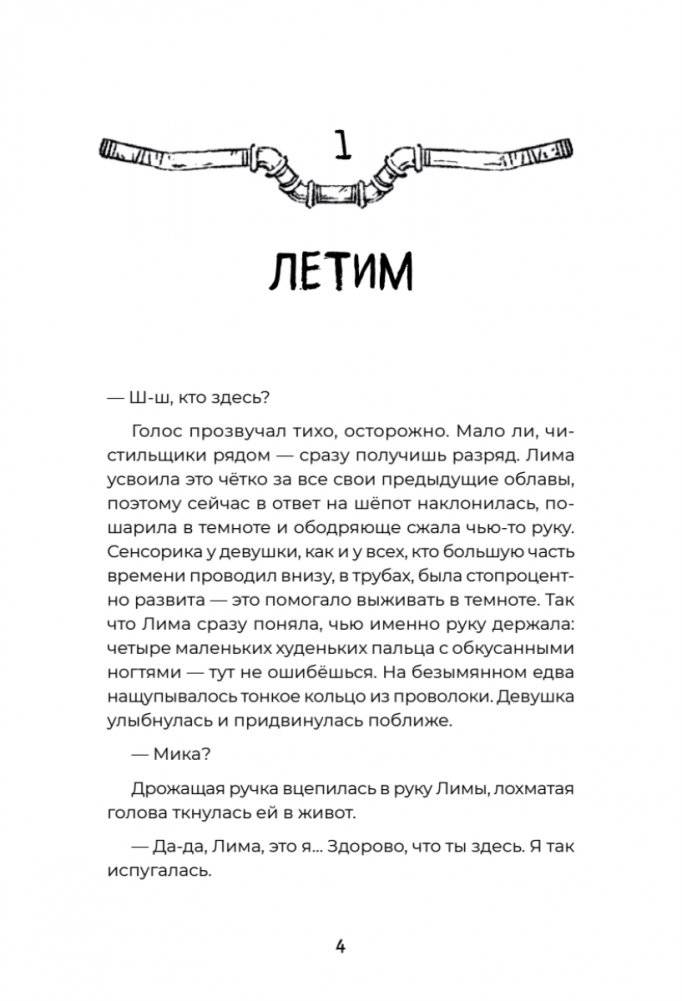 Загадка планеты Терра фото книги 3