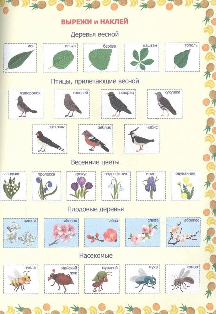 Мой дневник наблюдения за природой. С наклейками фото книги 3