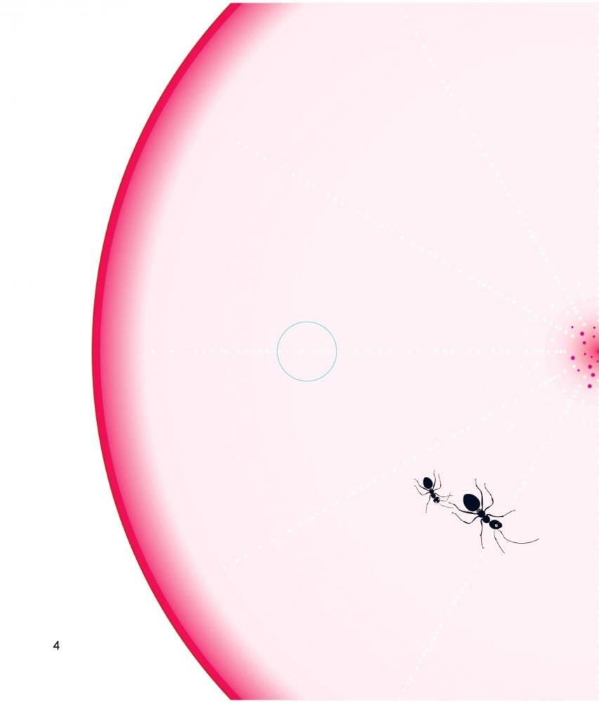 Что за овощ? фото книги 4