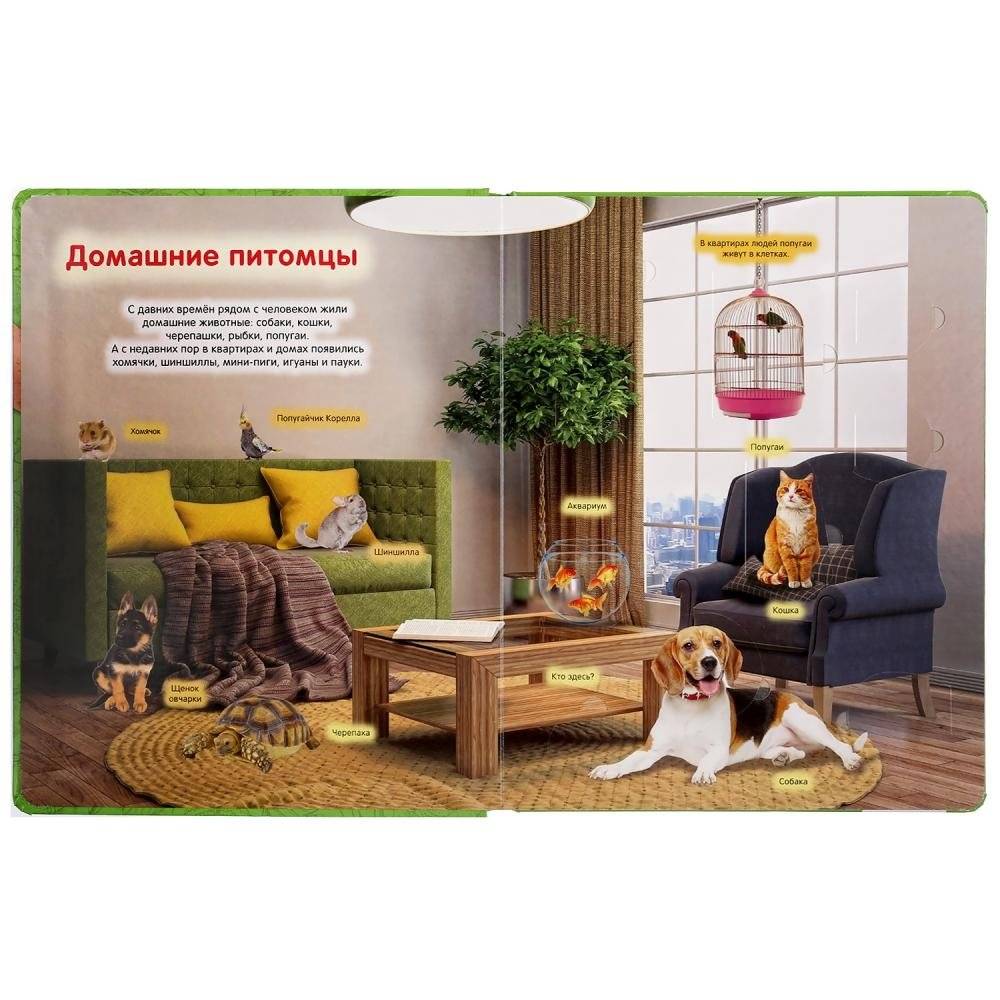 Животные фото книги 2