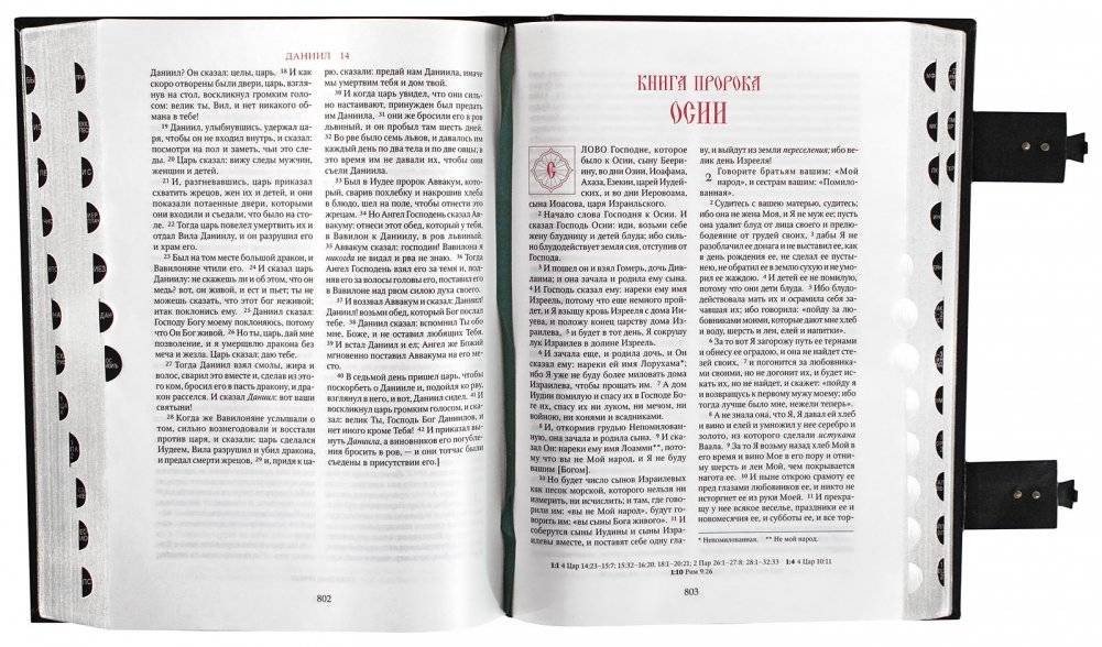 Библия фото книги 7