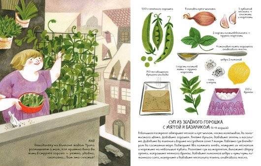 Рецепты с балконов, крыш и огродов фото книги 4