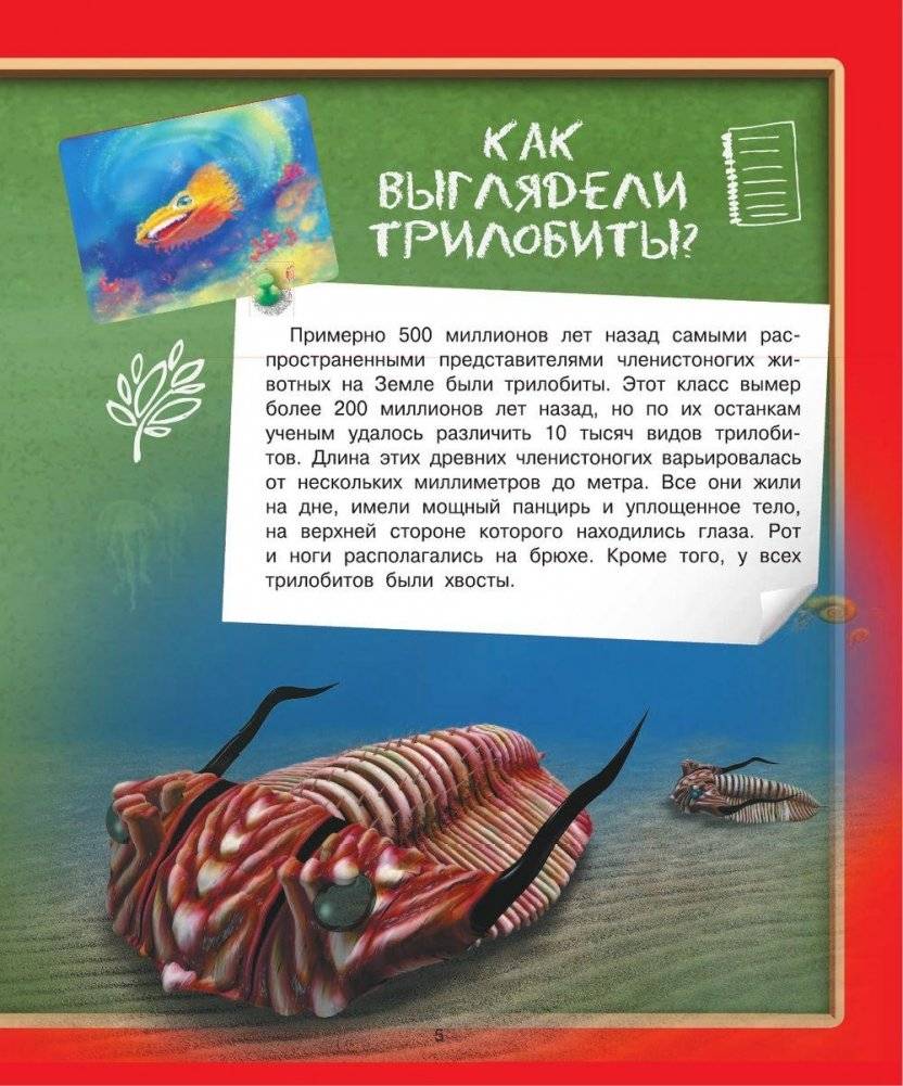 Детская энциклопедия в вопросах и ответах. Где? Когда? Как? фото книги 8