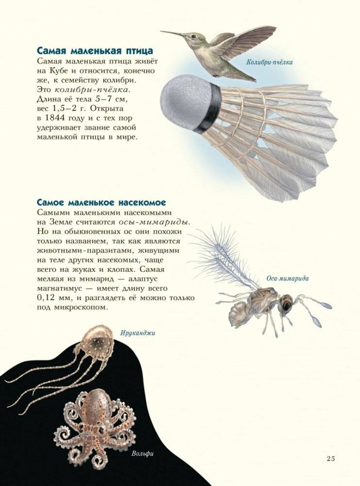 Самые-самые. Животные рекордсмены фото книги 5