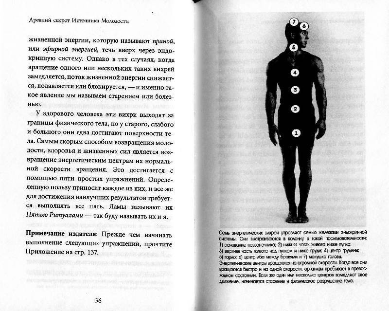 Древний секрет источника молодости. Книга 1 фото книги 2