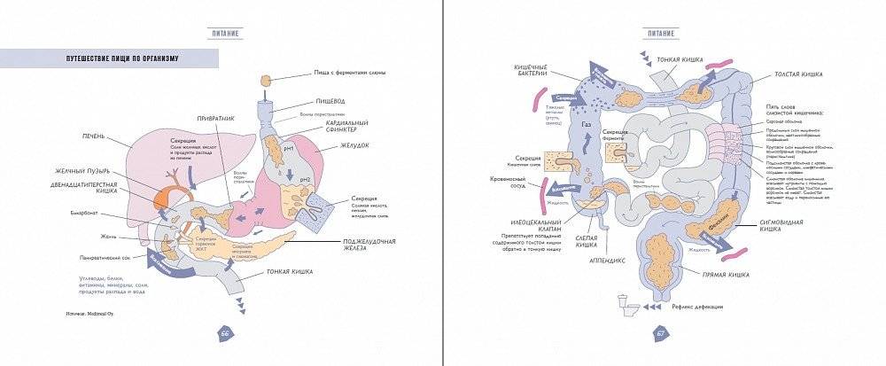 Биохакинг. Руководство по раскрытию потенциала организма фото книги 2