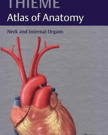 Neck and Internal Organs (THIEME Atlas of Anatomy) фото книги