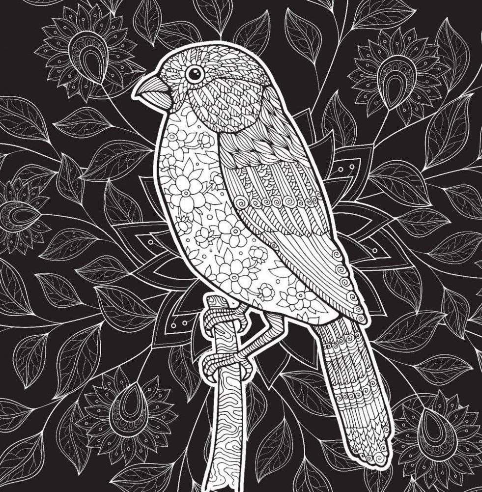 Свет и тень. Творческая раскраска с черно-белым фоном фото книги 8