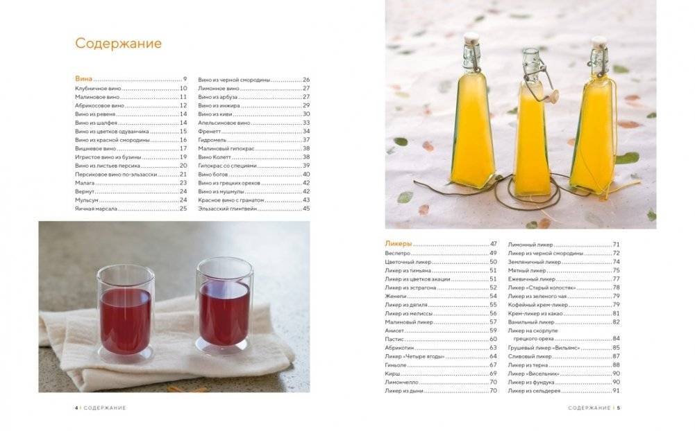 Домашние напитки. Для праздников и на каждый день фото книги 2