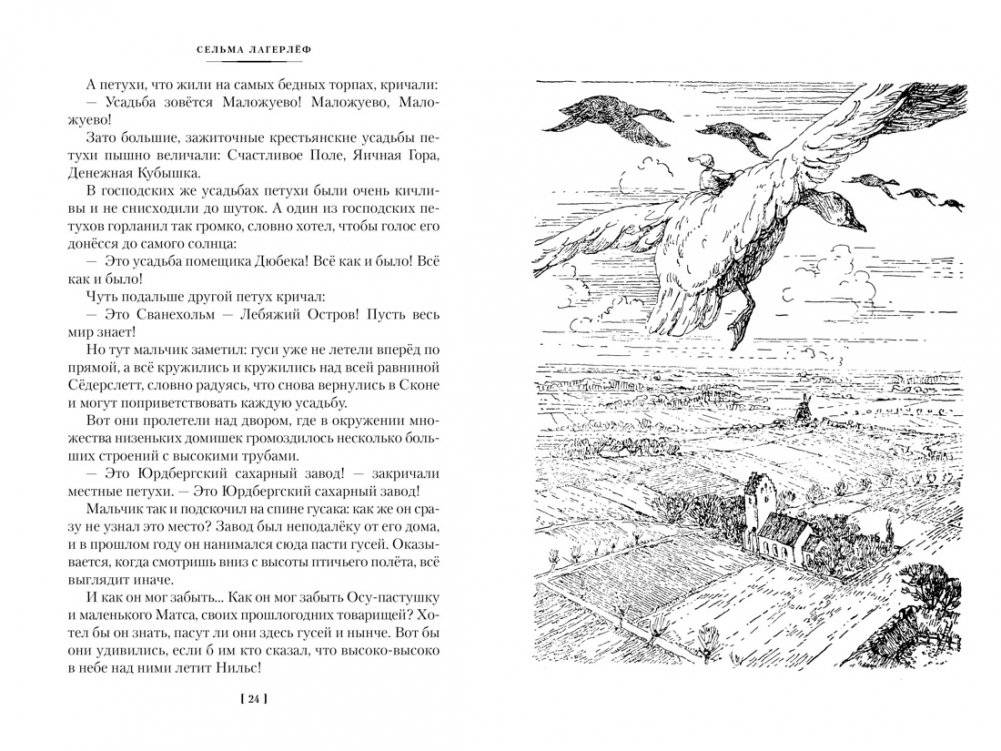 Удивительное путешествие Нильса с дикими гусями фото книги 6