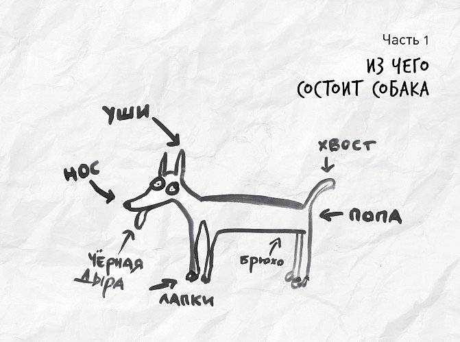 Вот собака! секреты четвероногой Зинаиды фото книги 2