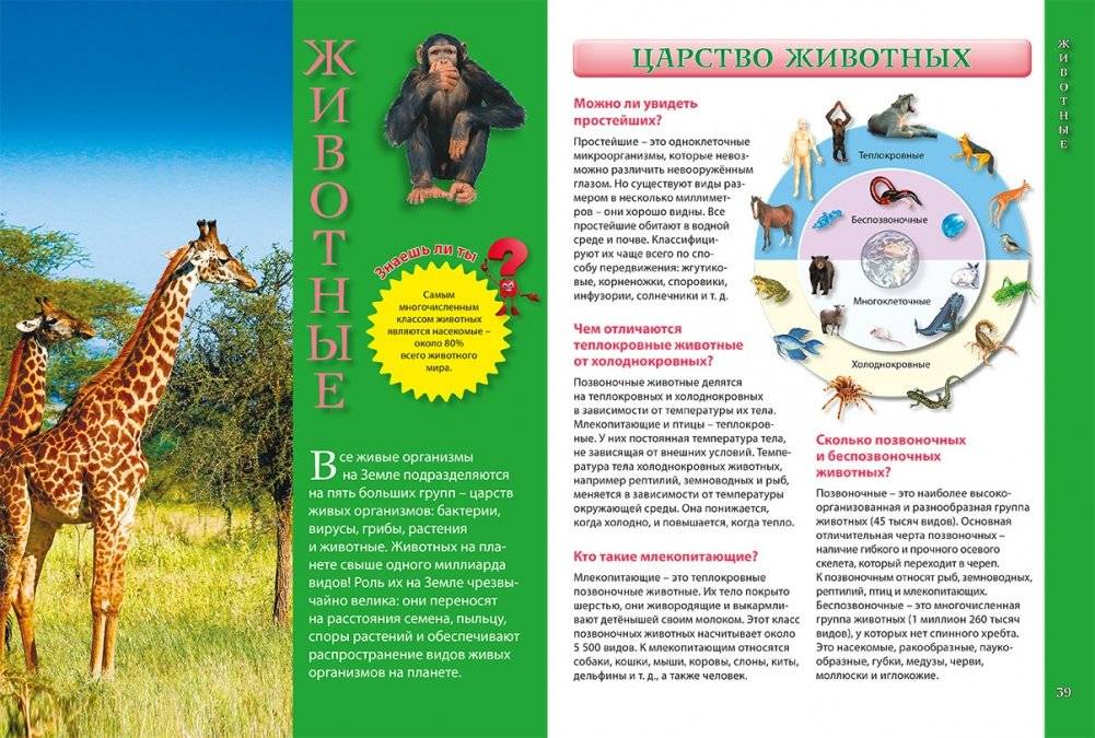 Умные ответы на детские вопросы. Энциклопедия для детей и их родителей фото книги 2