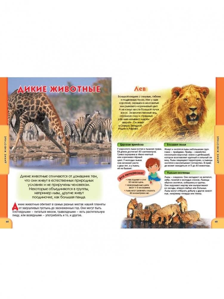 Детская энциклопедия для всезнаек от 6 до 12 лет фото книги 6