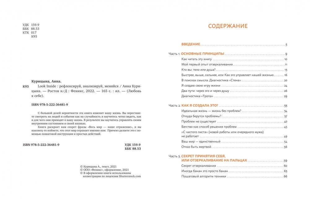 Look Inside. Рефлексируй, анализируй, меняйся фото книги 2