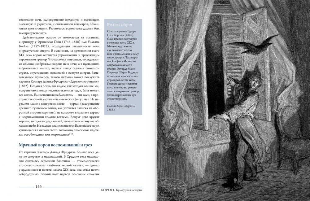 Ворон. Культурная история фото книги 5