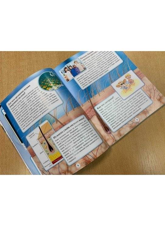 Тело человека. Серия "99 захватывающих фактов" фото книги 4