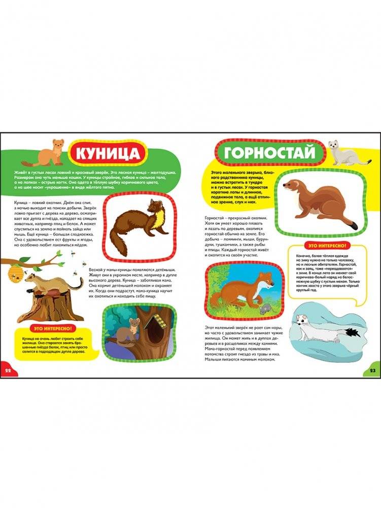 Животные для малышей. Первая энциклопедия для самых маленьких фото книги 5