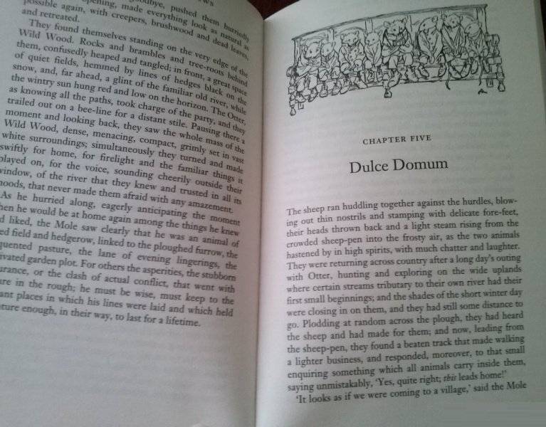 The Wind in the Willows фото книги 3