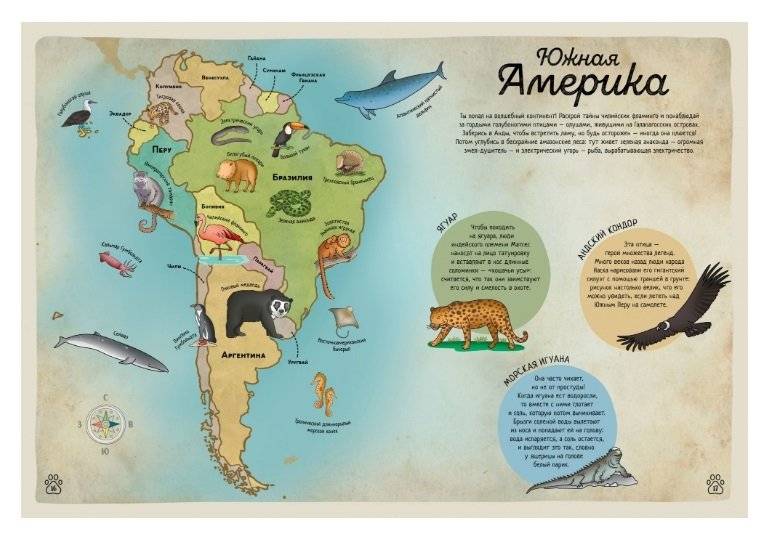 Гигантский атлас животных мира фото книги 7