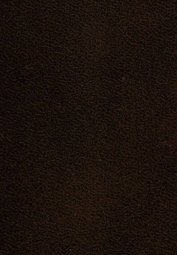 Анти-Макиавелли фото книги 2