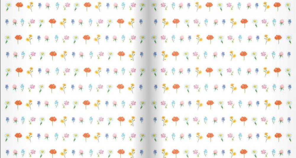 Лето в лесу фото книги 7