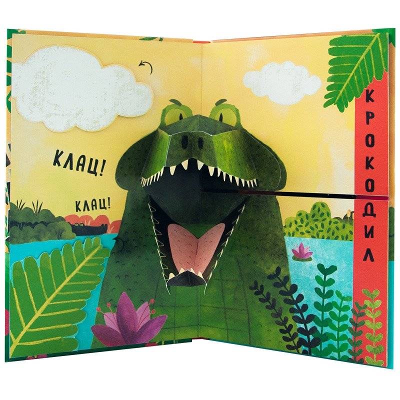 Путаница. В джунглях фото книги 2