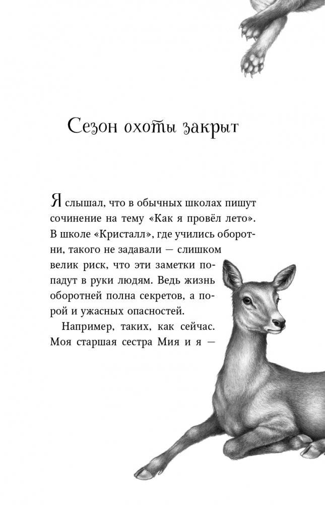 Караг и волчье испытание (#7) фото книги 10