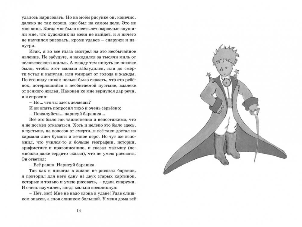 Маленький принц фото книги 2