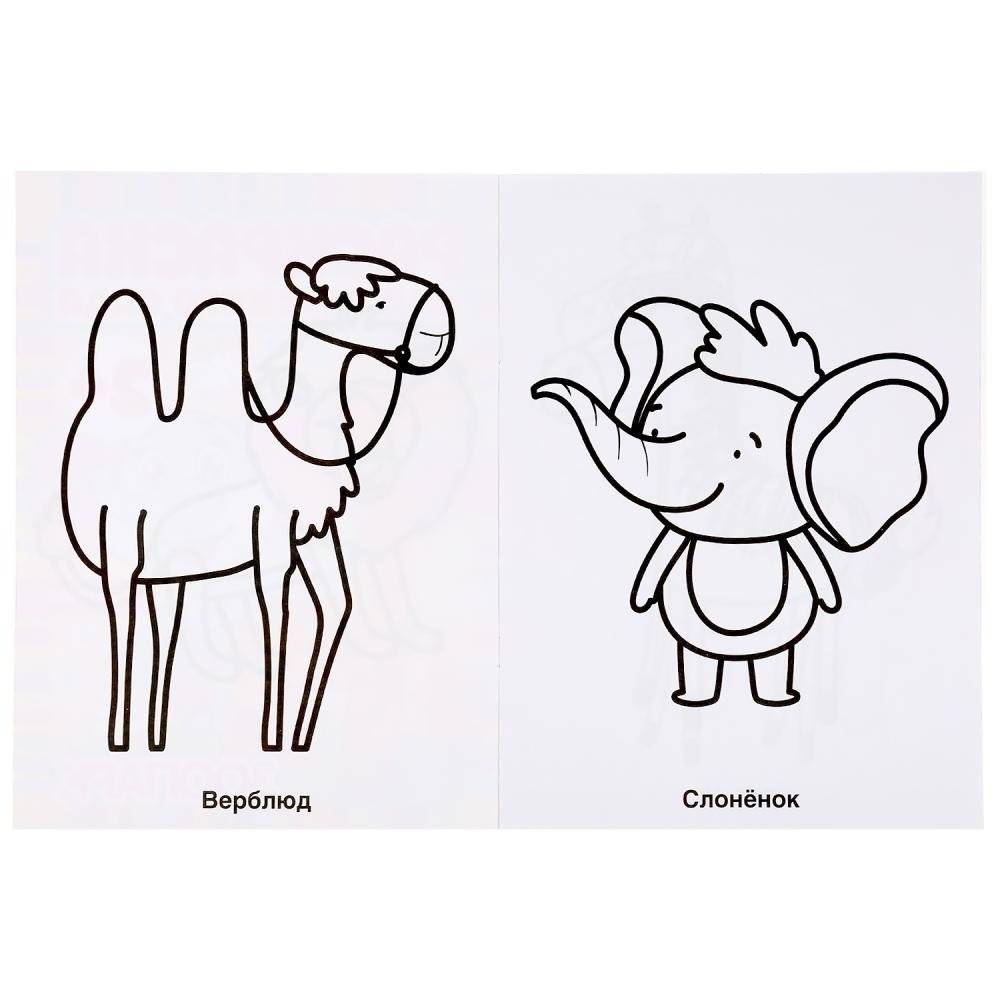 Зоопарк. Раскраска для детского сада фото книги 3