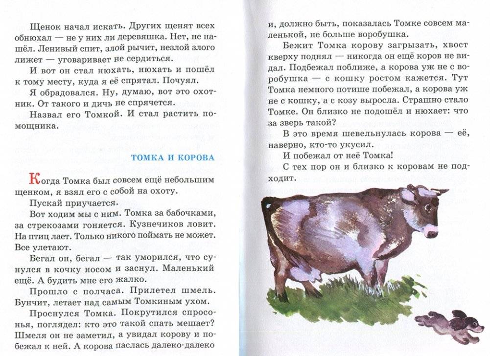 Рассказы про птиц и зверей фото книги 4