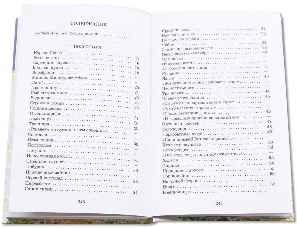 Веселое лето фото книги 6