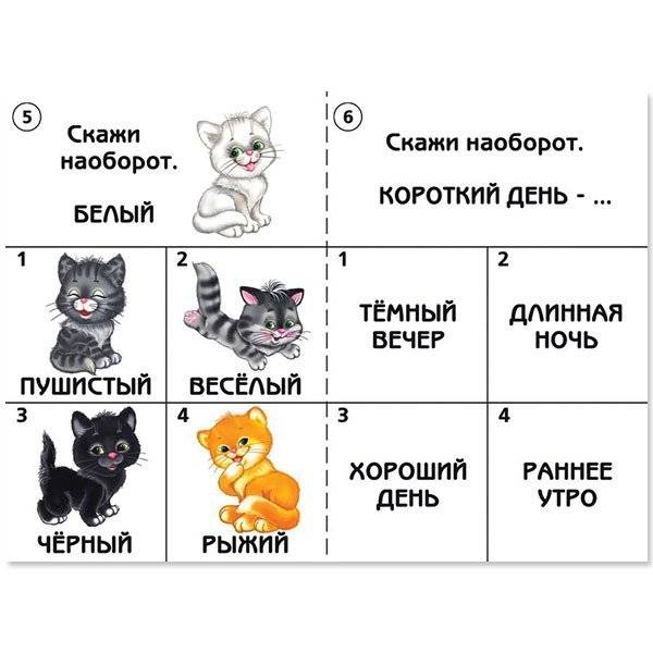 Игра «Готов ли ты к школе? Развитие речи» фото книги 5