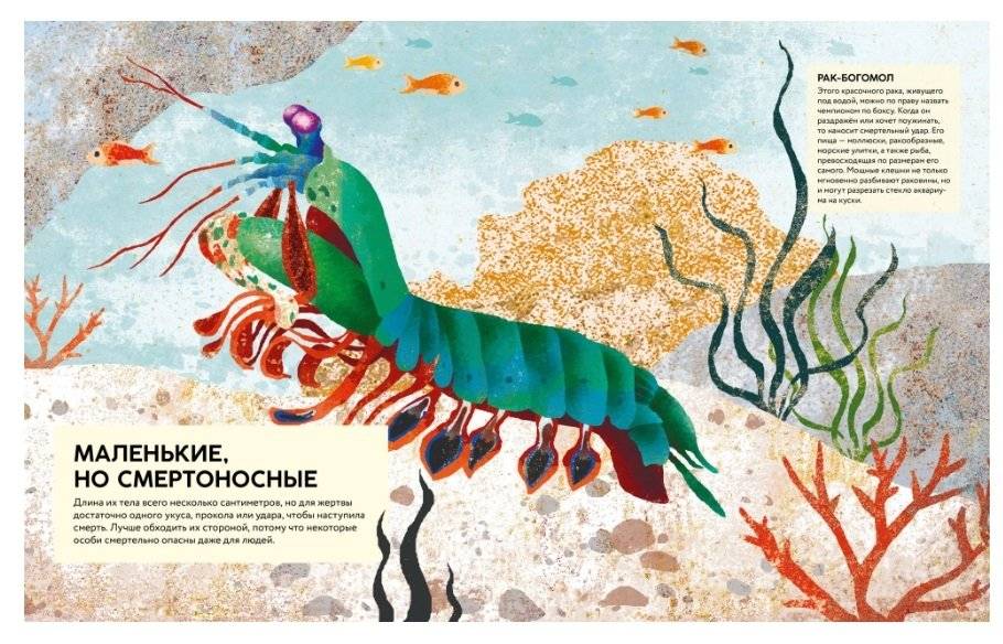 Удивительные животные. Самые-самые фото книги 5