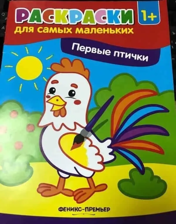 Первые птички. Книжка-раскраска фото книги