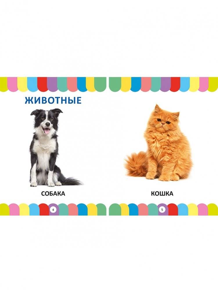 Главная книга малыша от 1 года до 3 лет. Фотокнига фото книги 2