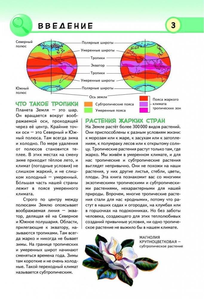 Тропические растения. Удивительная флора жарких стран фото книги 4