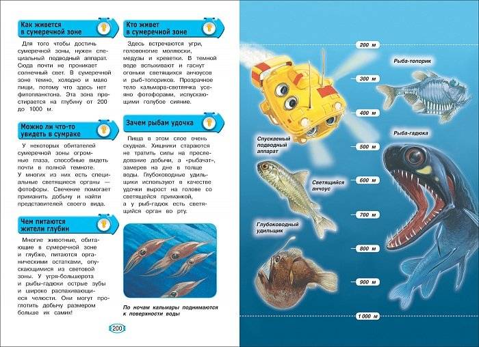Новая детская энциклопедия в вопросах и ответах фото книги 2