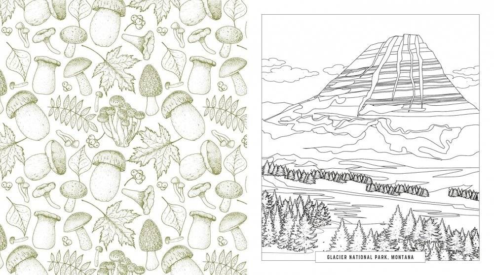 National parks coloring book фото книги 5