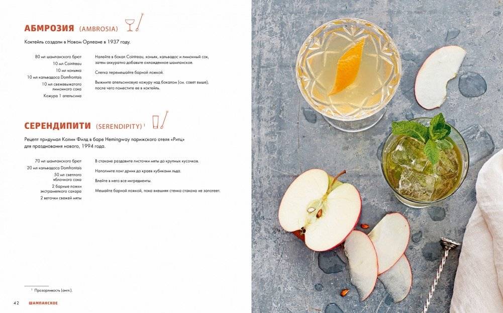 Практическая миксология. Девайсы. Техники. Ингредиенты фото книги 3