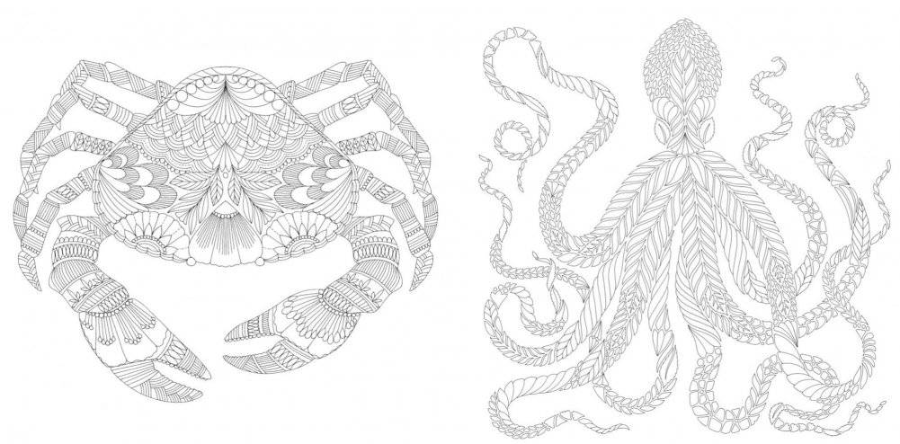 Чудеса природы. Золотая коллекция любимых иллюстраций фото книги 2