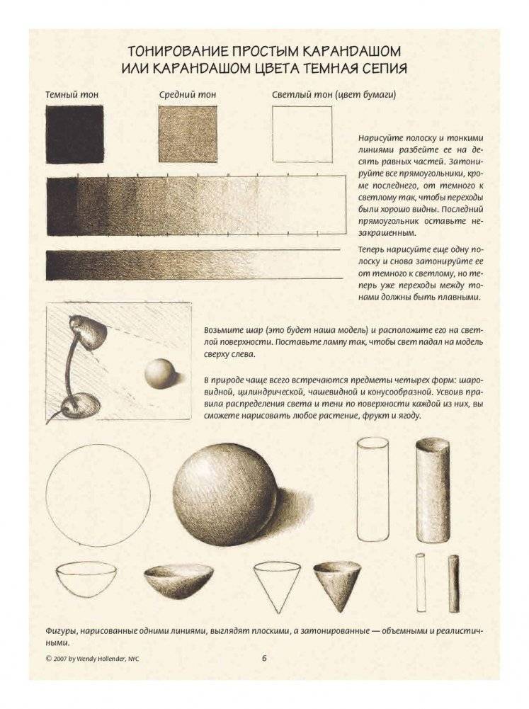 Ботаническая иллюстрация. Обучающий скетчбук фото книги 6