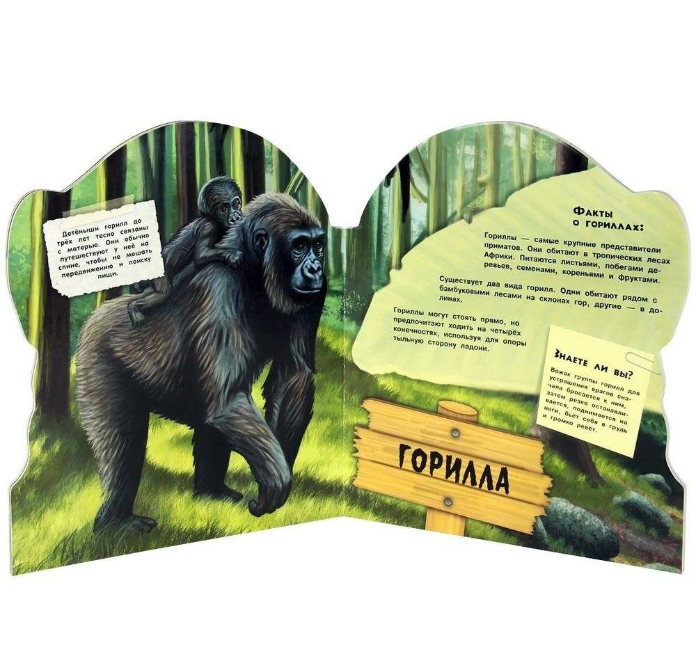 Умные обезьяны! фото книги 2