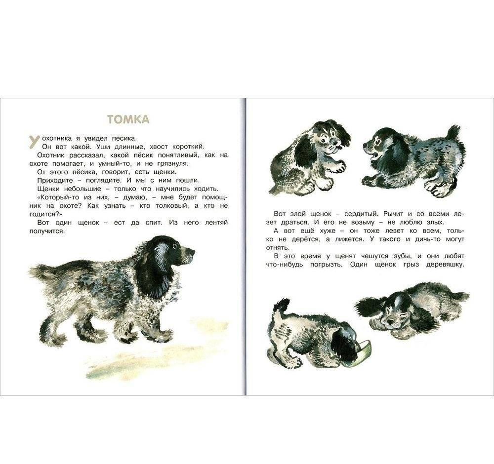 Друзья фото книги 6