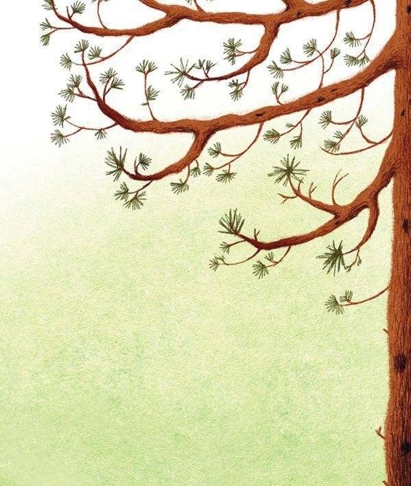 Как Ежик с Медвежонком протирали звезды фото книги 7